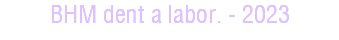BHM dent a labor. - 2023